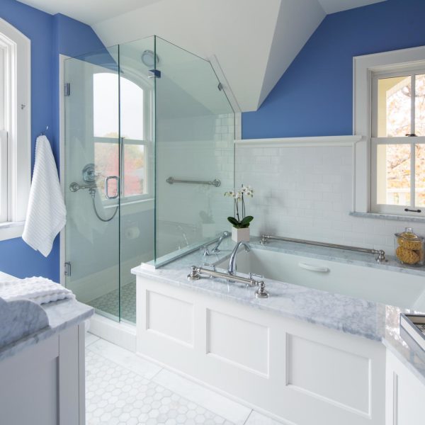 blue and white bathroom