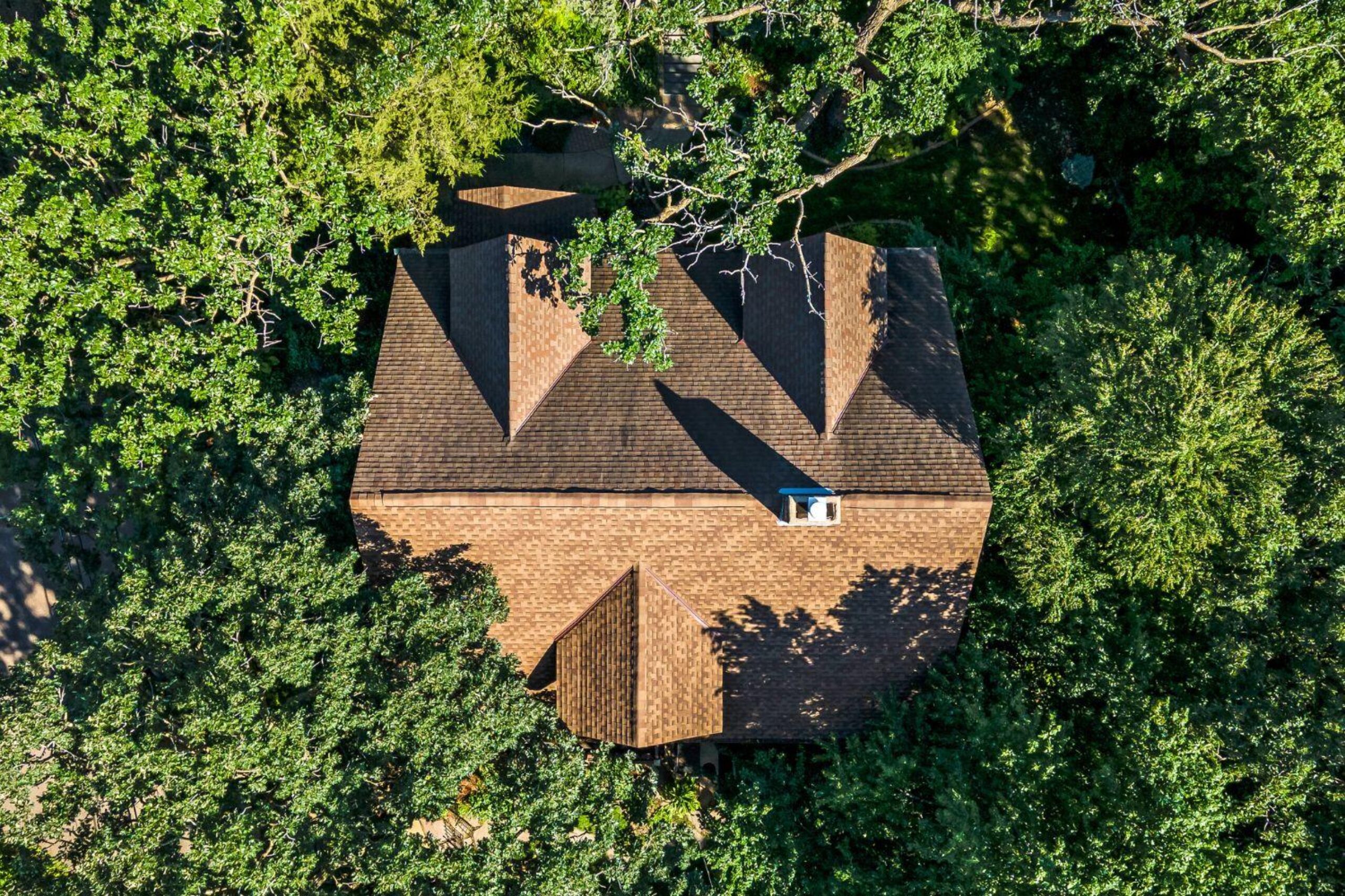 bird's eye view of home surrounded by trees